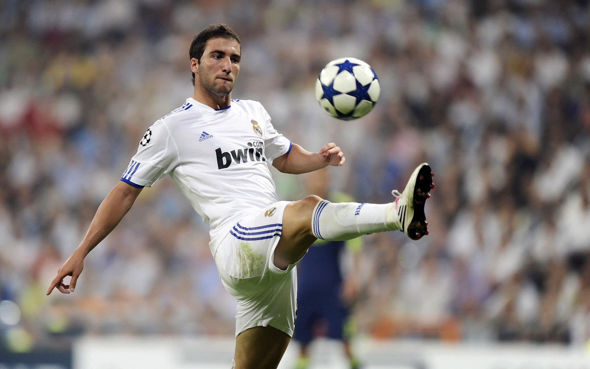 开云app注册-2025世俱杯：新一轮全球顶级俱乐部盛事来袭，2021世俱杯承办城市出炉