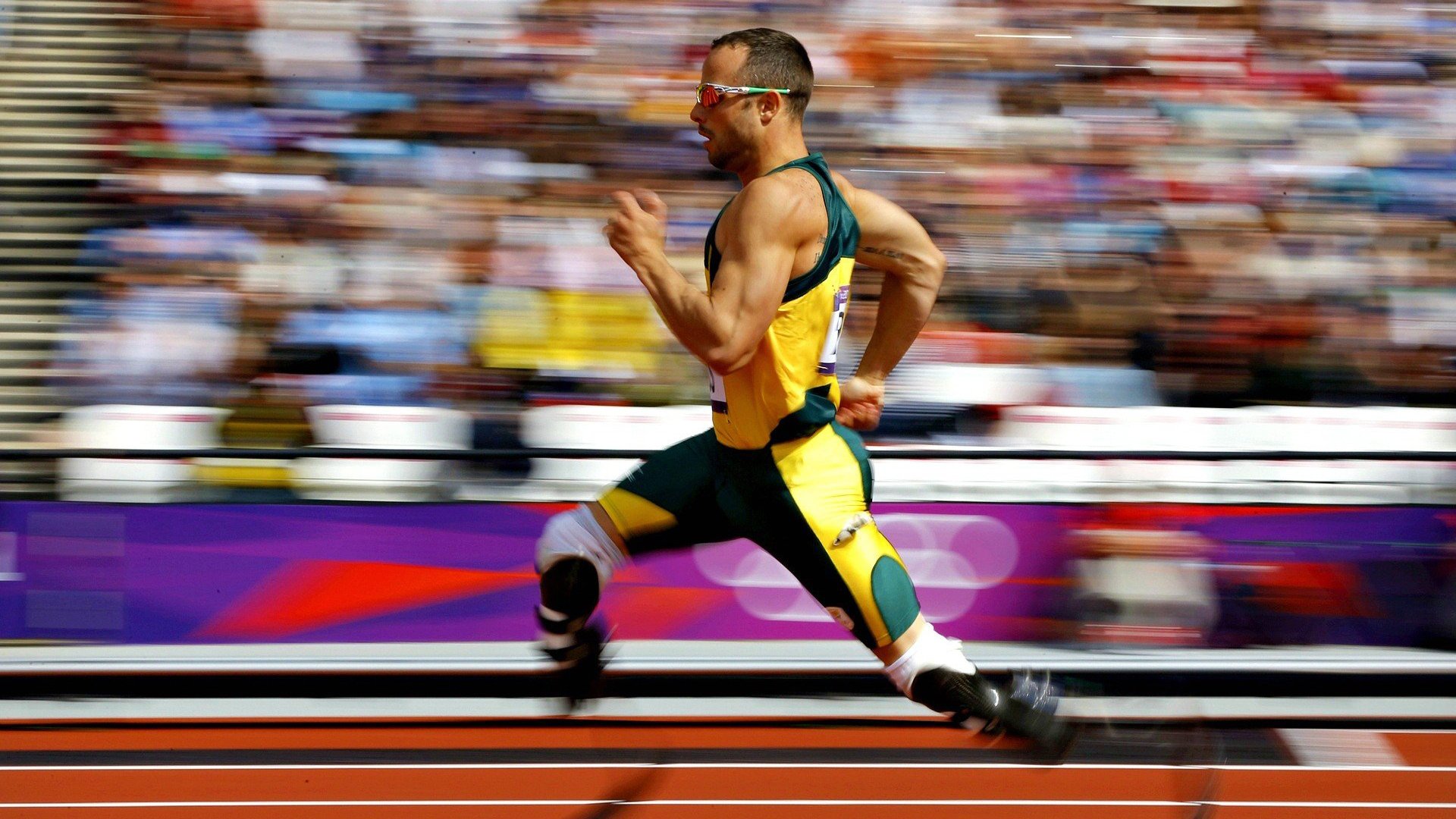 “2025世界运动会:高新体育中心武术选手拼技巧,精彩绝伦”