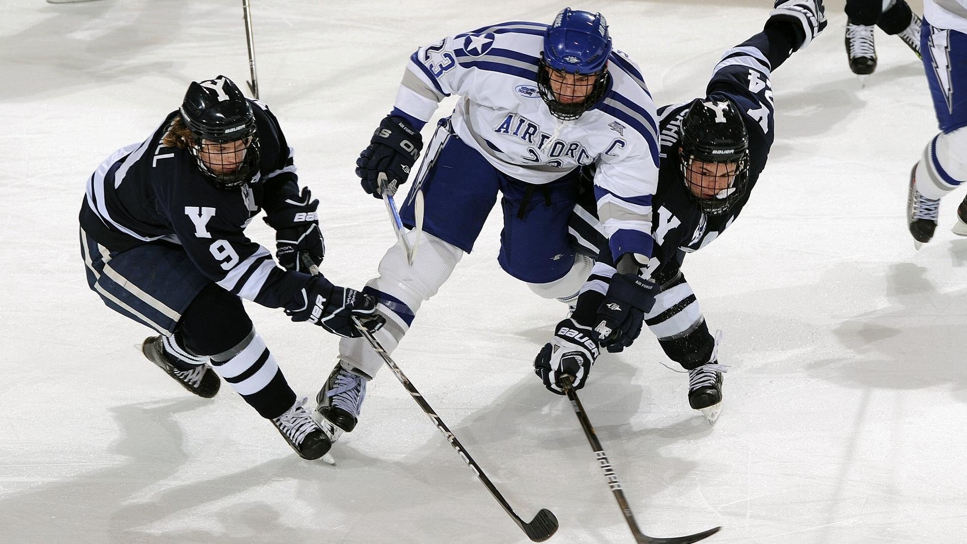 冬季运动知识竞赛普及冰雪项目常识，冬季冰雪体育项目
