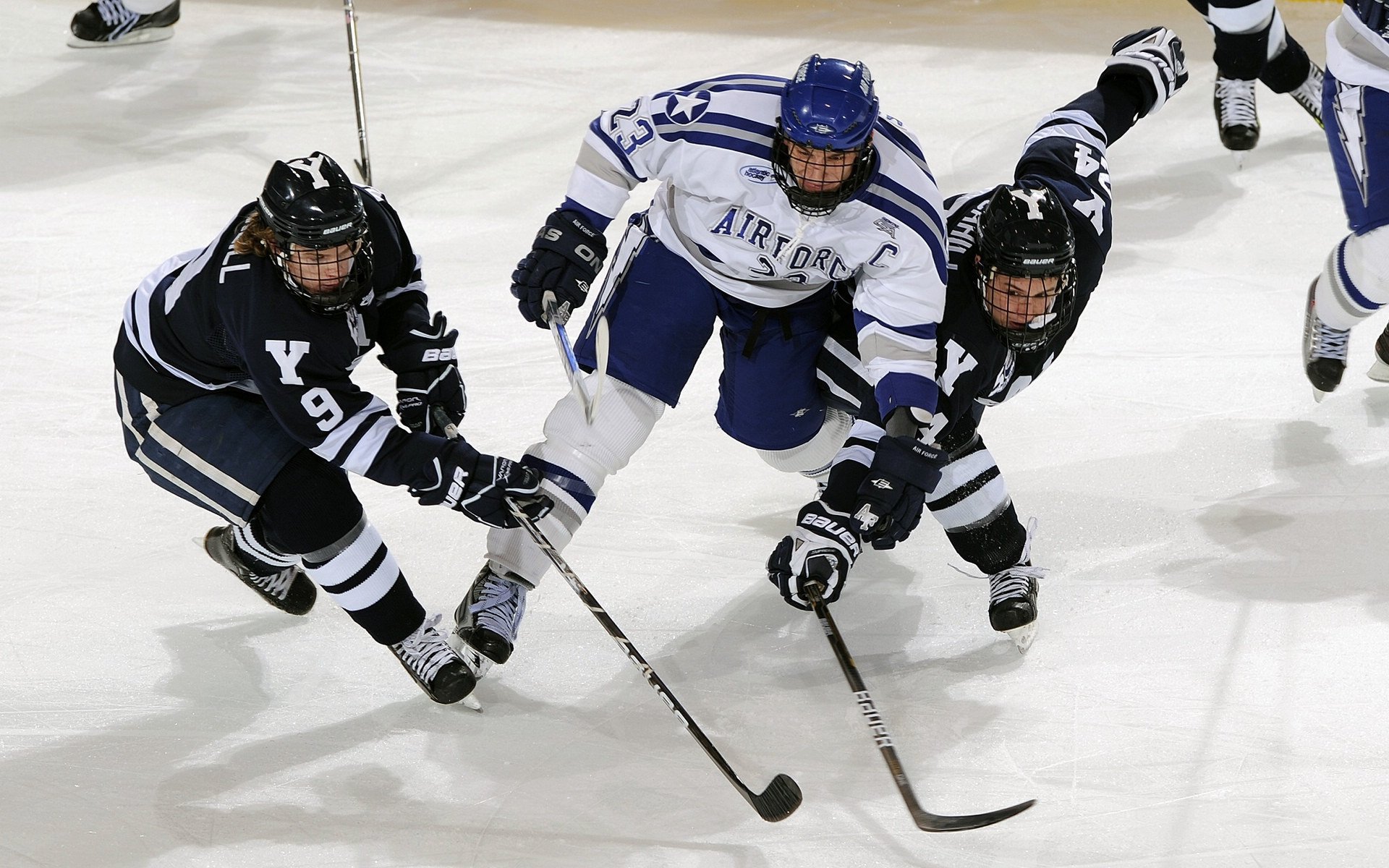 城市马拉松公益性质增强,公益马拉松的意义