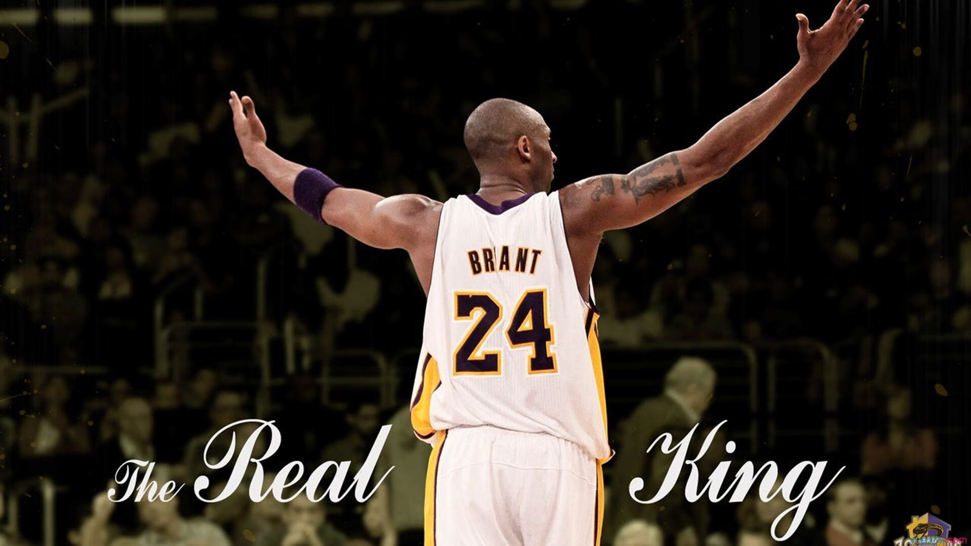 开云体育备用链接-职业球员恢复期科学监管不足